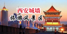 疯狂抽插日韩精品视频中国陕西-西安城墙旅游风景区